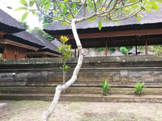 k-20161230_131553