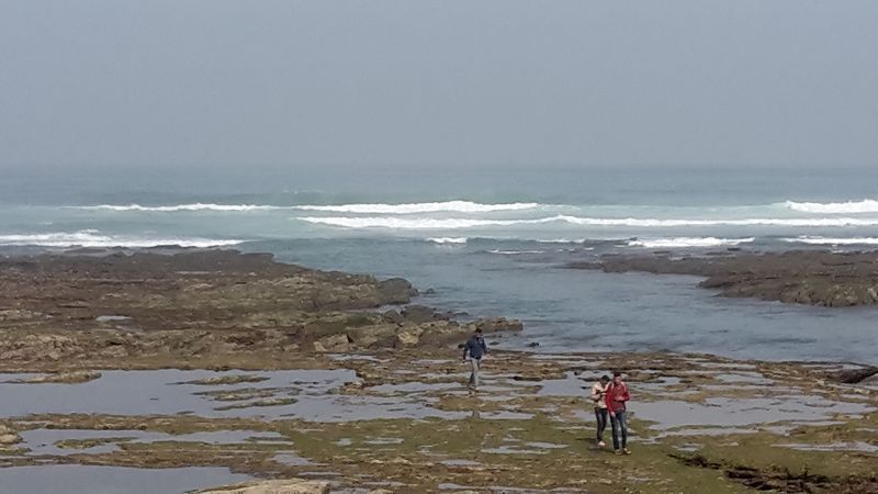 k-20170317_110400.jpg