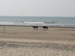 k-20171228-WA0005