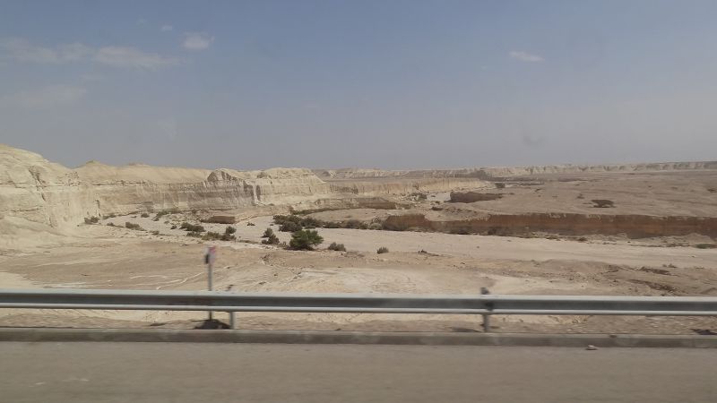 k-20141019_111300.JPG