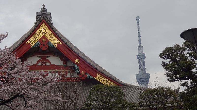 k-20170409_163900.JPG