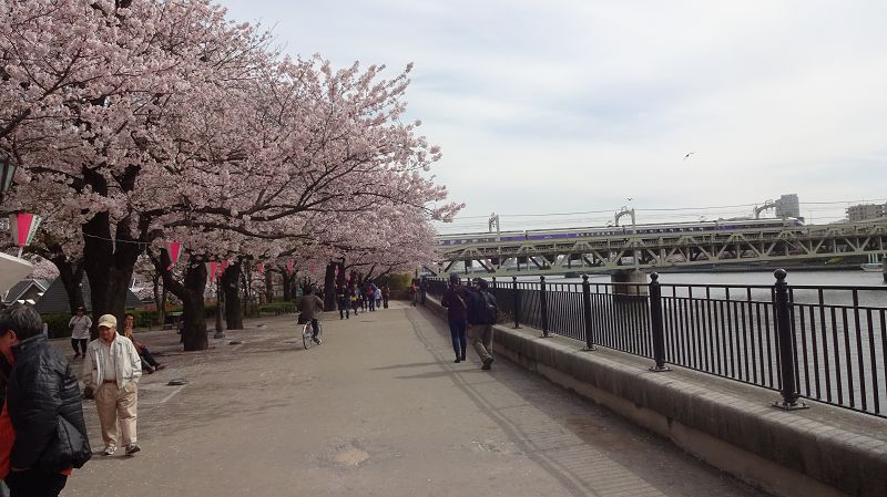 k-20170410_090100.JPG