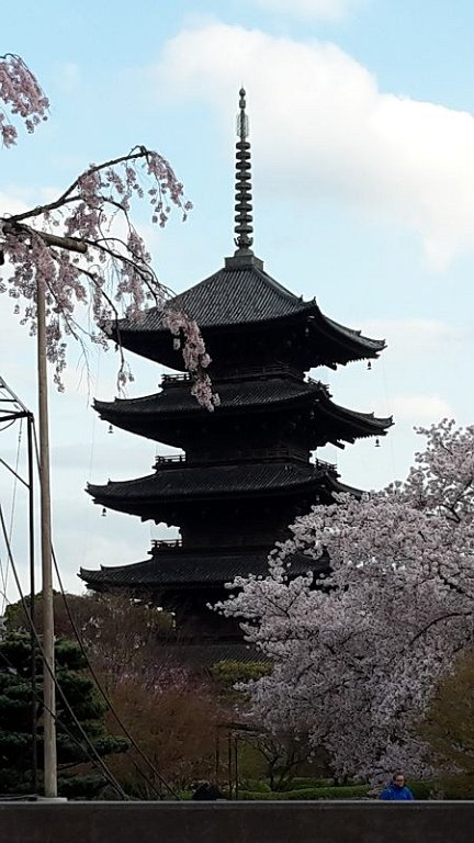 k-20170412_165706.jpg