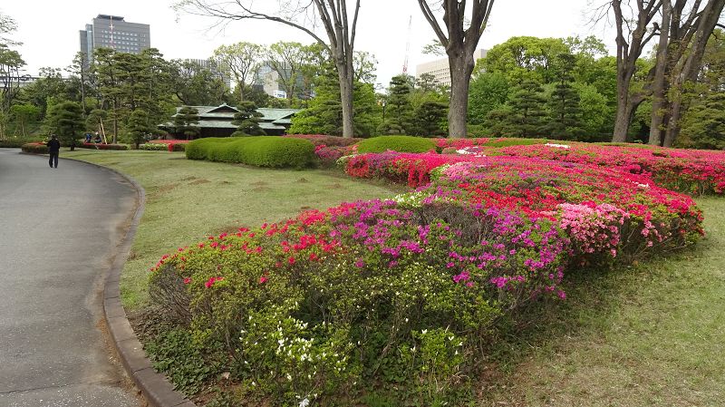 k-20170420_151500.JPG