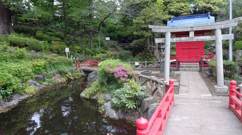 k-20170422_160300.JPG