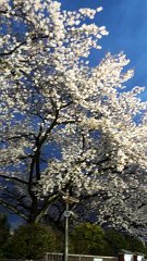 k-20170409_181957
