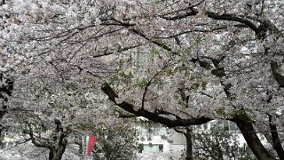 k-20170410_090409