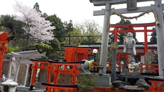 k-20170412_121508