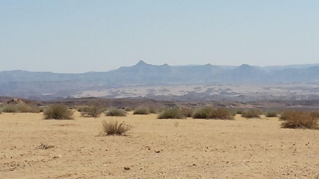 k-20181005_140551.jpg