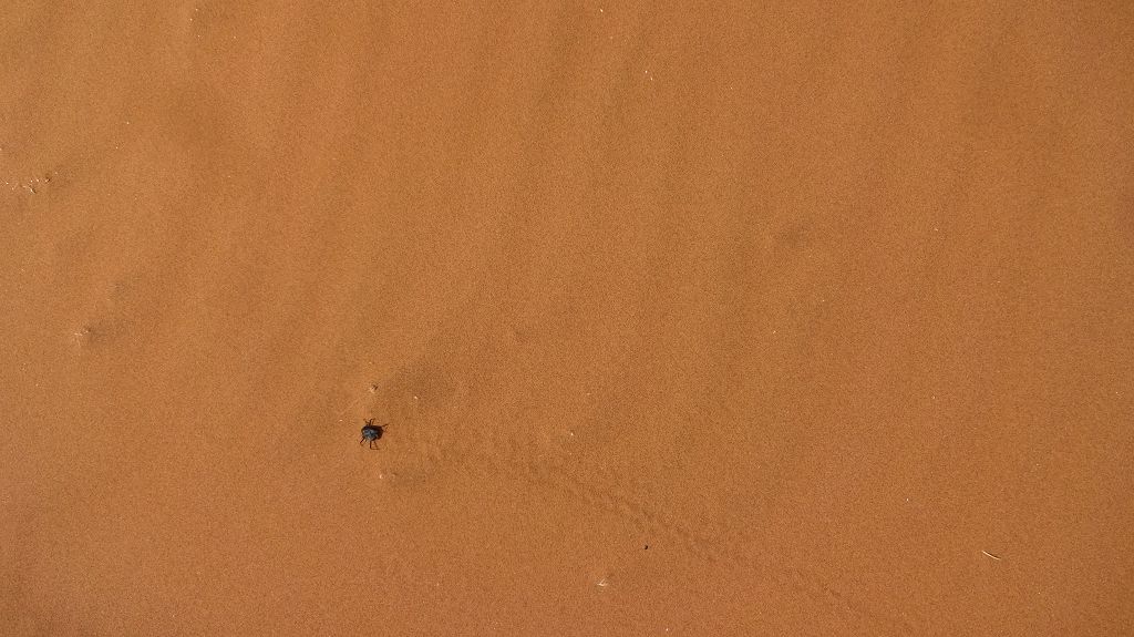 k-20181007_093100.JPG