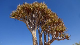 k-20181005_091800