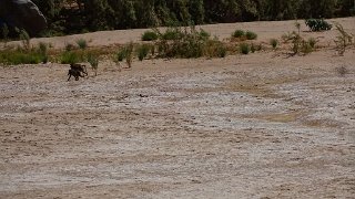 k-20181005_115600