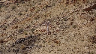 k-20181005_143100