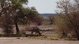 k-20181005_145000