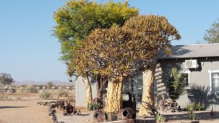 k-20181006_081030