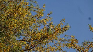 k-20181006_081500