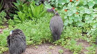 k-20181009_104731