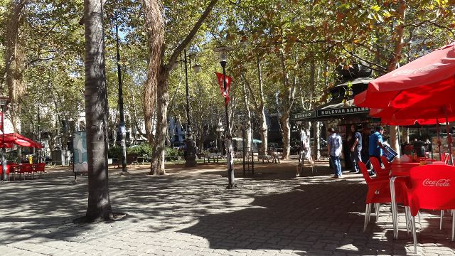 k-DSC06720.JPG